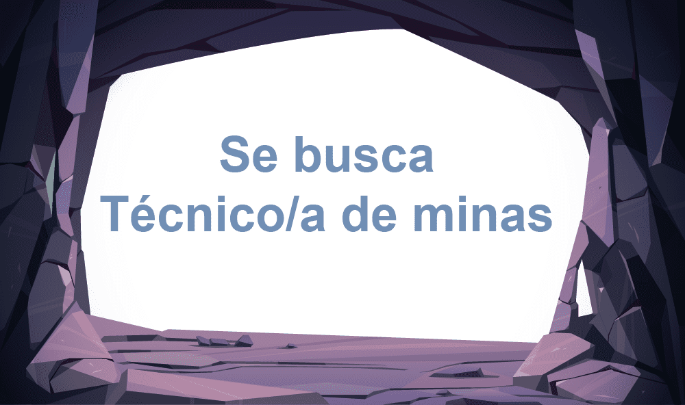 Se busca técnico