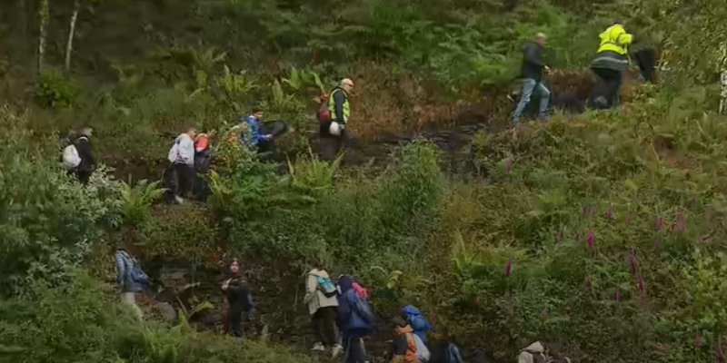 Colegios a silvarosa